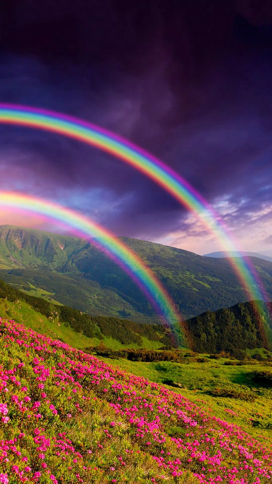 Rainbow Live Wallpaper APK for Android Download Rainbow Live Wallpaper APK for Android Download