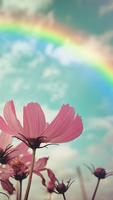 Rainbow Live Wallpaper скриншот 1