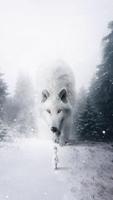 2 Schermata Wolf Wallpapers