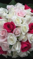 White Rose Wallpapers captura de pantalla 3