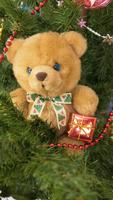 برنامه‌نما Teddy Bear Live Wallpaper عکس از صفحه