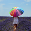 Umbrella Wallpapers