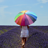 Umbrella Wallpapers icon