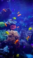 Underwater Live Wallpaper screenshot 3