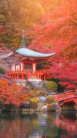 Zen Garden Wallpapers poster