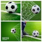 Icona Real live soccer proplus