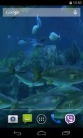 Real Aquarium Video Wallpaper スクリーンショット 1