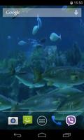 برنامه‌نما Real Aquarium Video Wallpaper عکس از صفحه