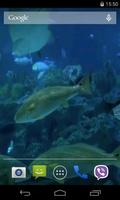 برنامه‌نما Real Aquarium Video Wallpaper عکس از صفحه