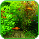 Real Aquarium 3D Wallpaper APK