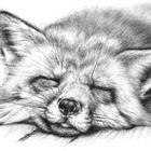 Realistic animal drawing icon