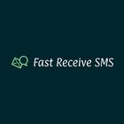 Receive SMS Online Fast icône
