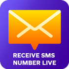 Receive SMS Live-icoon