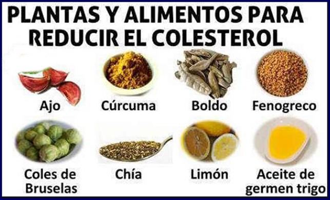 Recetas para colesterol