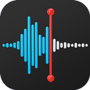 APK ضبط صدا و یادداشت های صوتی