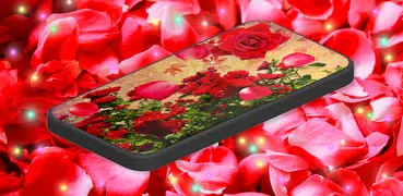 3D Red Rose Live HD Wallpaper