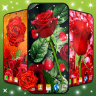 3D Red Rose Live Wallpaper icon