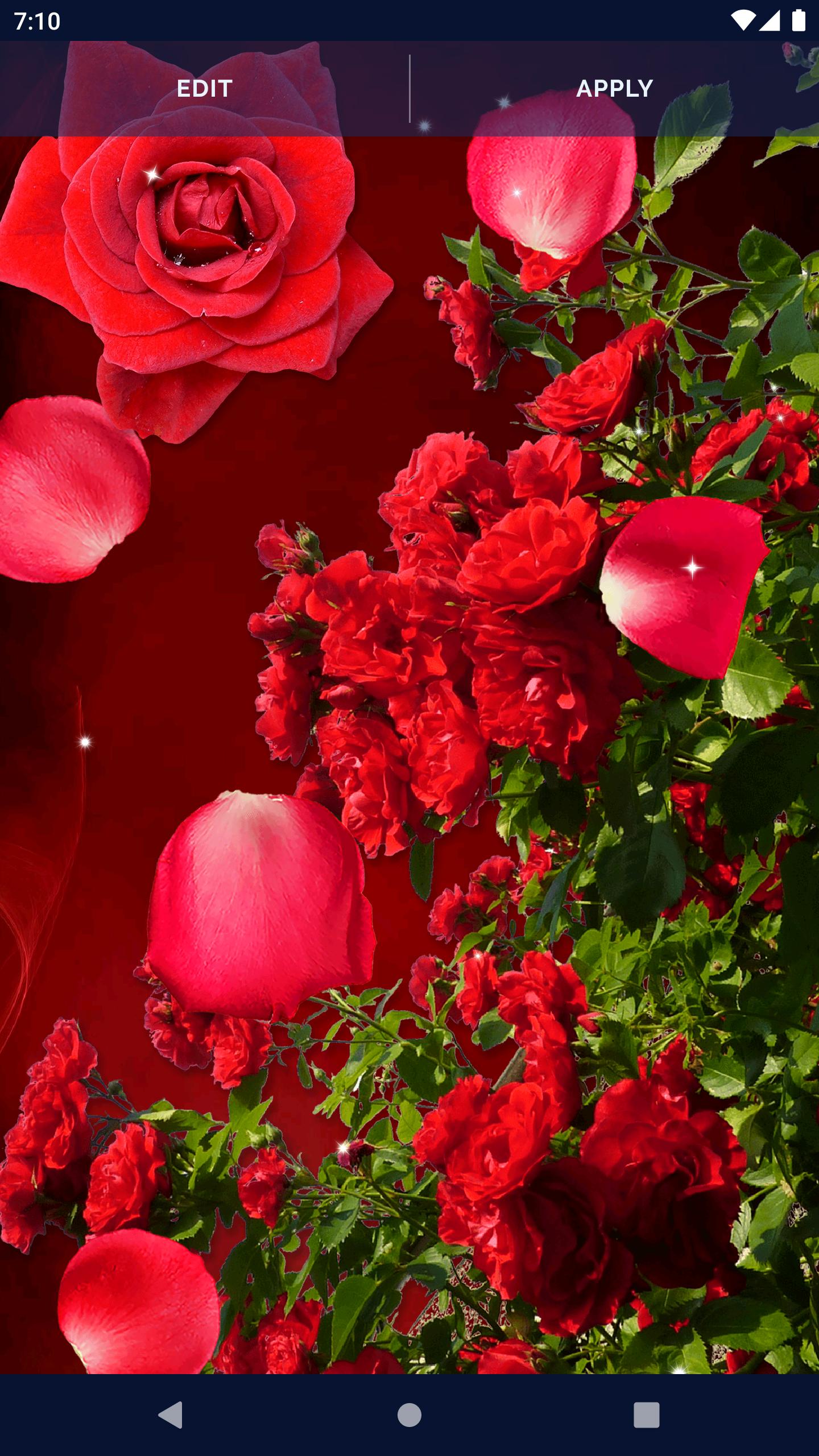 3D Red Rose Live Wallpaper APK for Android Download 3D Red Rose Live Wallpaper APK for Android Download