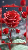 Red Rose Wallpaper capture d'écran 1