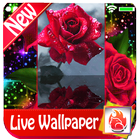 Red rose Live Wallpaper, LWP simgesi
