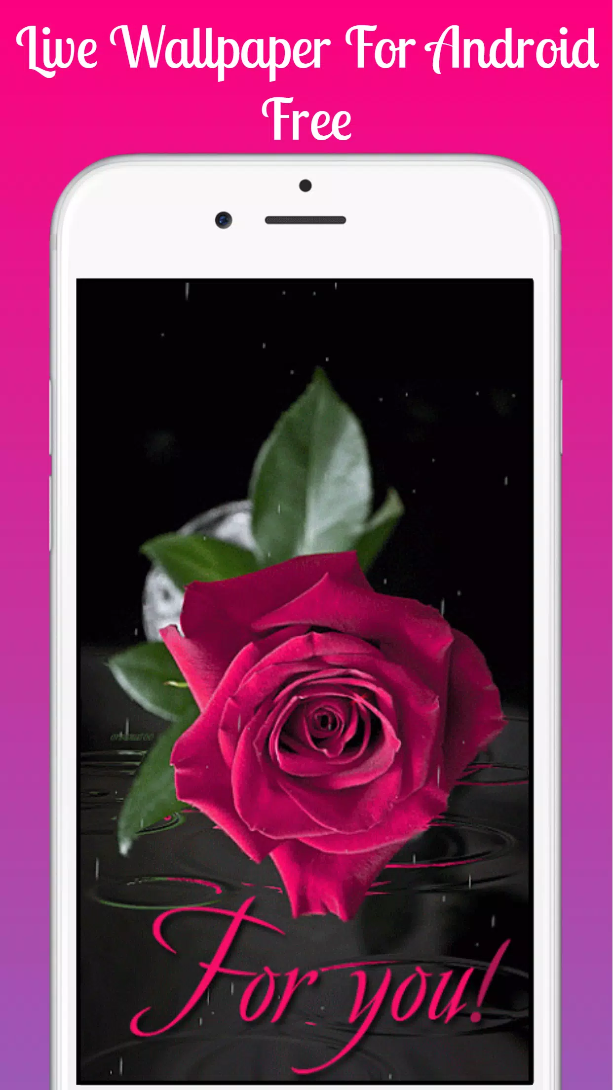 Red Rose Live Wallpaper Lwp Apk For Android Download