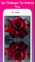 Red rose Live Wallpaper, LWP Ekran Görüntüsü 1