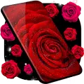 Red Rose Live Wallpaper