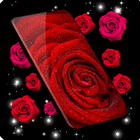 Red Rose 4K Live Wallpaper icon