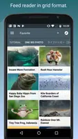 Feed Go تصوير الشاشة 1