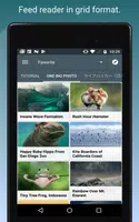 Feed Go تصوير الشاشة 4