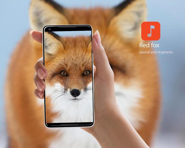 Red fox Sound Effects APK for Android Download