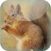 Red Squirrel Live Wallpaper