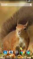Red Squirrel Live Wallpaper capture d'écran 1