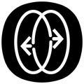 guide for swap videos