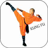 Learn Kung fu easy