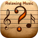 Relaxing Music for Stress - Anxiety Relief App APK