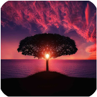 Relaxing Music icon