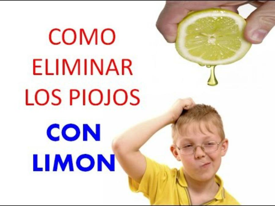 Como eliminar piojos