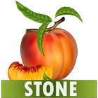 Stone Diet Renal Gall Bladder  simgesi