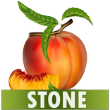 Stone Diet Renal Gall Bladder 