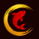 Хикари Казань APK