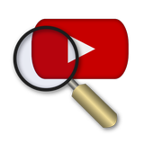Поиск в популярном видеохостин icono