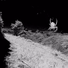 InfraRed Camera - Xiaomi Pocop XAPK download