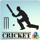 RGM Cricket APK