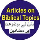 Articles on Biblical Topics APK