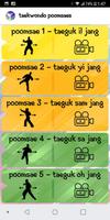Taekwondo Poomsaes تصوير الشاشة 1