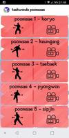 Taekwondo Poomsaes ภาพหน้าจอ 2