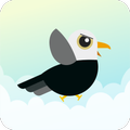 Jump & Flap !!