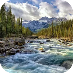 River 4K Video Live Wallpaper APK download