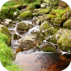 River Vídeo Live Wallpaper icono